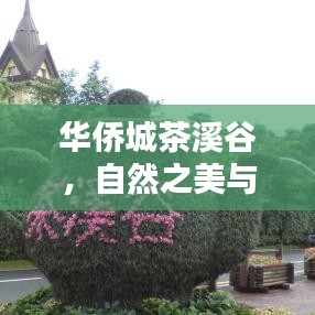 华侨城茶溪谷，自然之美与休闲乐趣的完美融合攻略