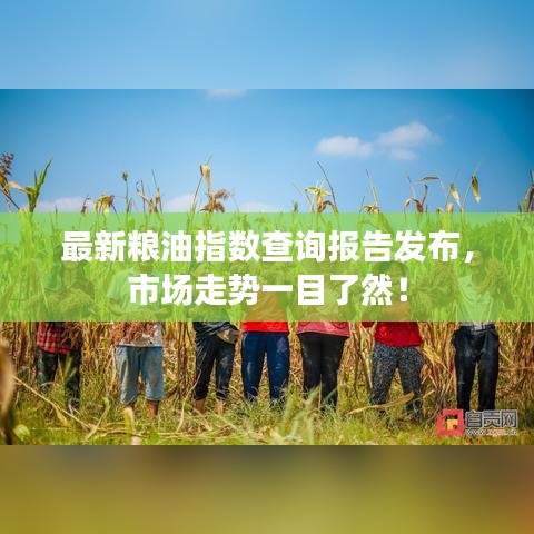 2025年5月30日 第22页