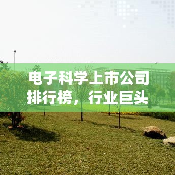 电子科学上市公司排行榜，行业巨头一览，洞悉未来趋势
