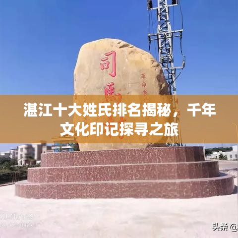 湛江十大姓氏排名揭秘，千年文化印记探寻之旅
