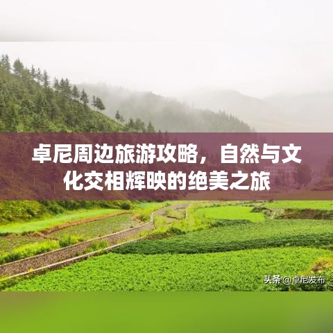 卓尼周边旅游攻略，自然与文化交相辉映的绝美之旅