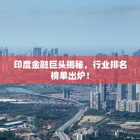 印度金融巨头揭秘，行业排名榜单出炉！