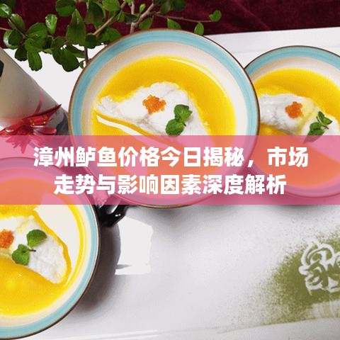 漳州鲈鱼价格今日揭秘，市场走势与影响因素深度解析