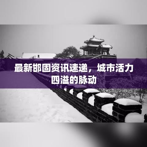 最新邯固资讯速递，城市活力四溢的脉动