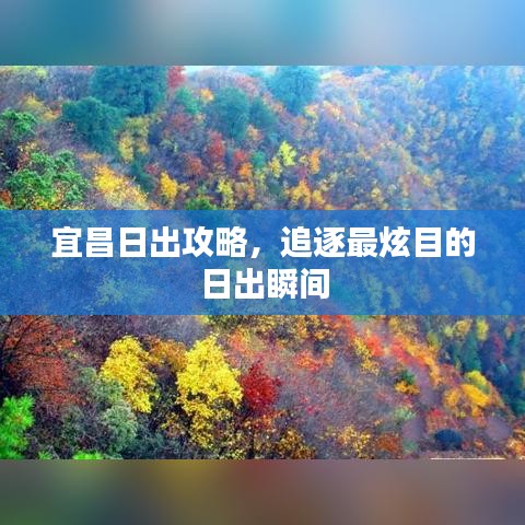 2025年5月30日 第7页