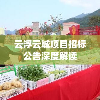 云浮云城项目招标公告深度解读