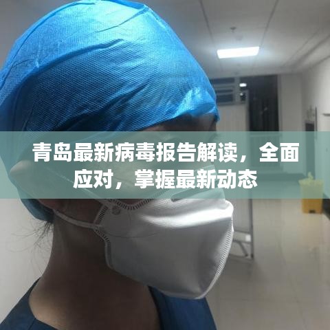 青岛最新病毒报告解读，全面应对，掌握最新动态