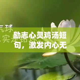 励志心灵鸡汤短句，激发内心无限力量