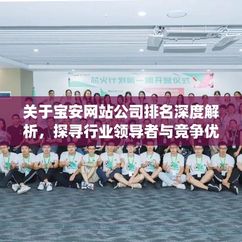 关于宝安网站公司排名深度解析，探寻行业领导者与竞争优势