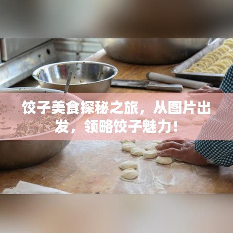 饺子美食探秘之旅，从图片出发，领略饺子魅力！