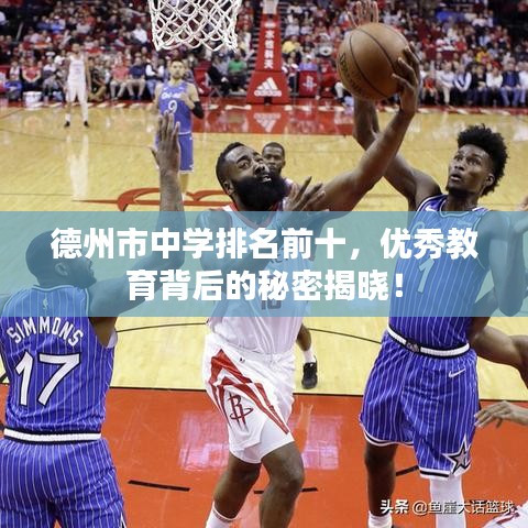 德州市中学排名前十，优秀教育背后的秘密揭晓！