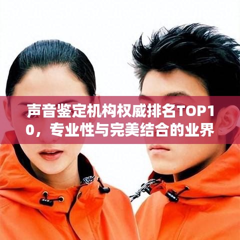 声音鉴定机构权威排名TOP10，专业性与完美结合的业界佼佼者