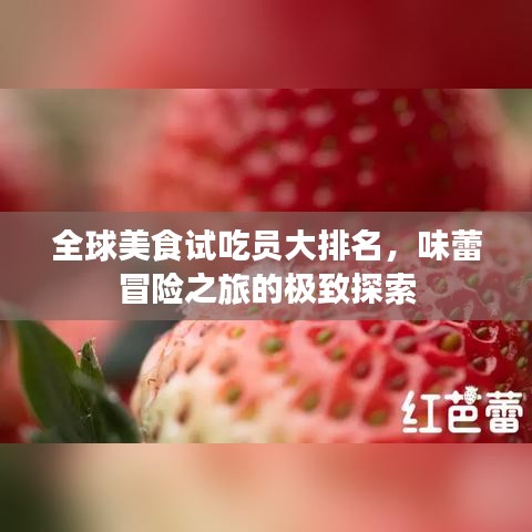全球美食试吃员大排名，味蕾冒险之旅的极致探索