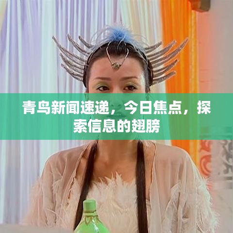 青鸟新闻速递，今日焦点，探索信息的翅膀