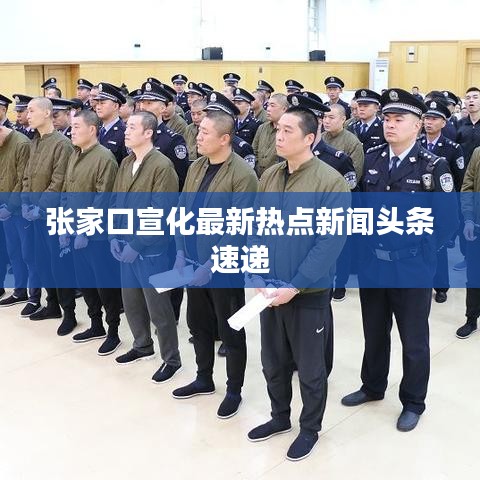 张家口宣化最新热点新闻头条速递