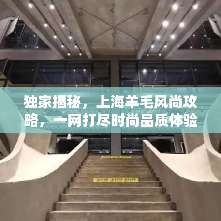 独家揭秘，上海羊毛风尚攻略，一网打尽时尚品质体验