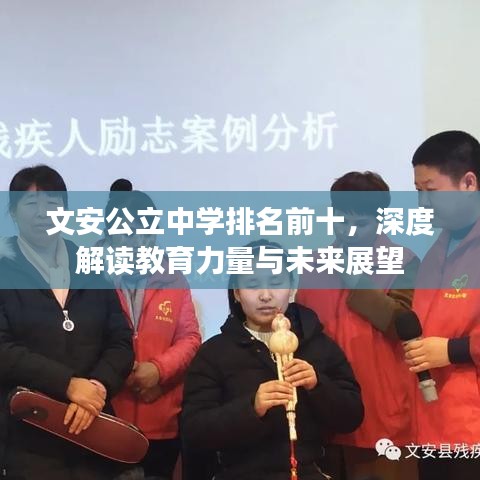 文安公立中学排名前十，深度解读教育力量与未来展望