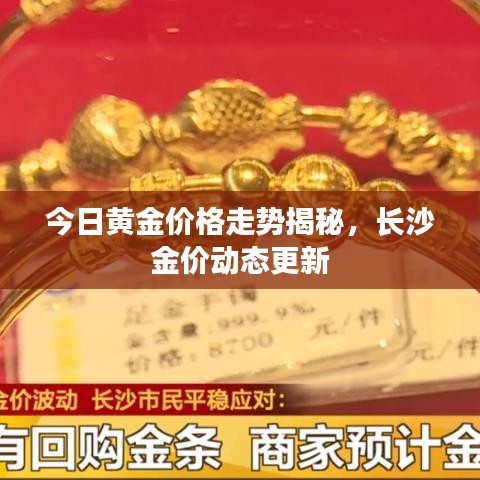今日黄金价格走势揭秘，长沙金价动态更新