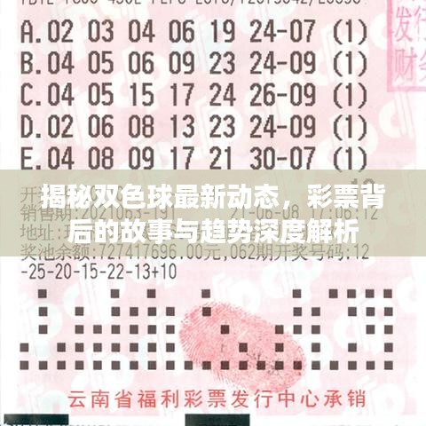 揭秘双色球最新动态，彩票背后的故事与趋势深度解析