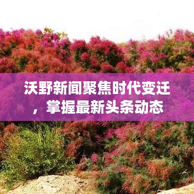 沃野新闻聚焦时代变迁，掌握最新头条动态