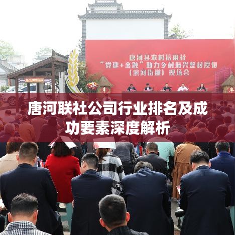 唐河联社公司行业排名及成功要素深度解析