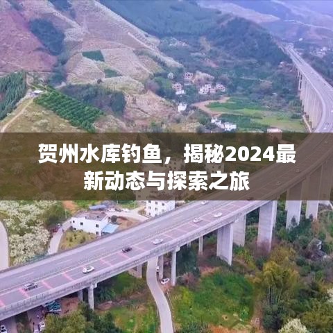 贺州水库钓鱼，揭秘2024最新动态与探索之旅