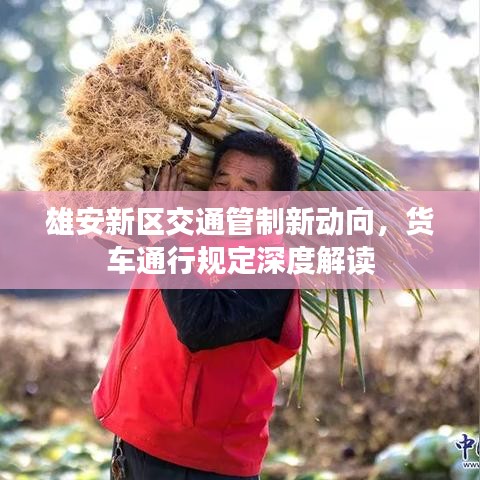 雄安新区交通管制新动向，货车通行规定深度解读
