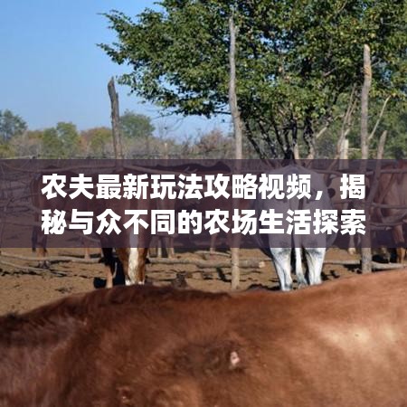 农夫最新玩法攻略视频，揭秘与众不同的农场生活探索之旅！