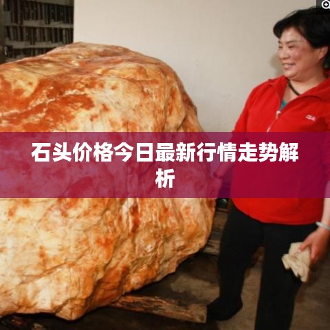 石头价格今日最新行情走势解析