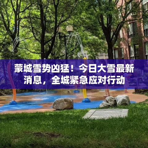 蒙城雪势凶猛！今日大雪最新消息，全城紧急应对行动