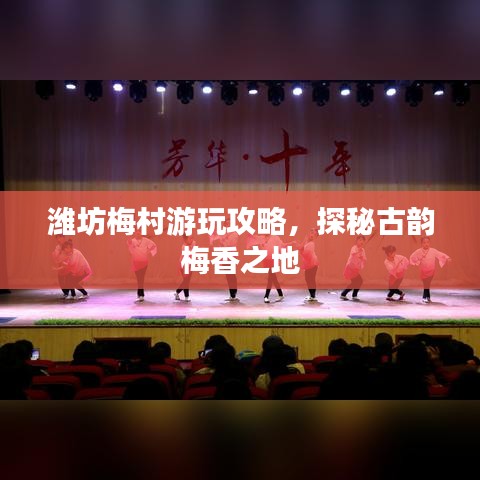 潍坊梅村游玩攻略，探秘古韵梅香之地