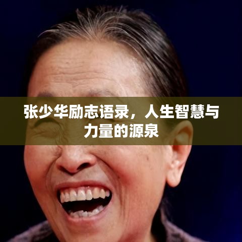 张少华励志语录，人生智慧与力量的源泉