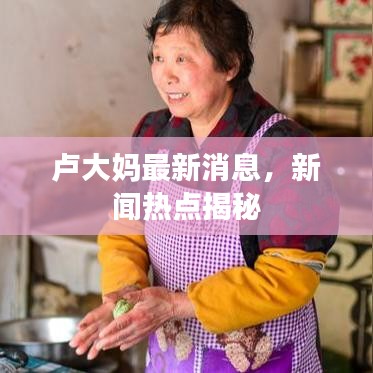 卢大妈最新消息，新闻热点揭秘