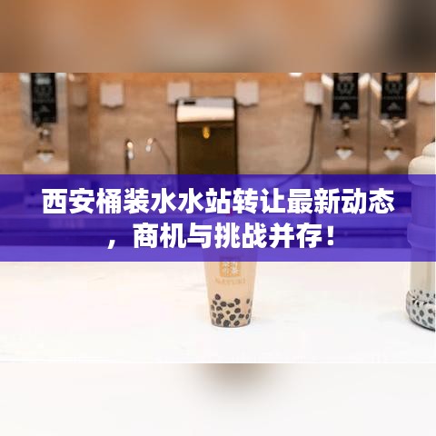 西安桶装水水站转让最新动态，商机与挑战并存！