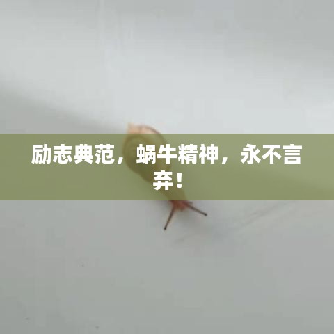 励志典范，蜗牛精神，永不言弃！