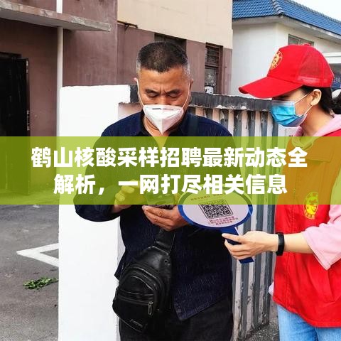 鹤山核酸采样招聘最新动态全解析，一网打尽相关信息
