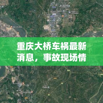 重庆大桥车祸最新消息，事故现场情况与应对举措全面解析