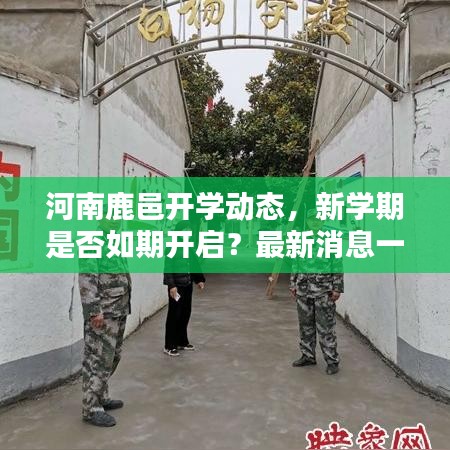 河南鹿邑开学动态，新学期是否如期开启？最新消息一览