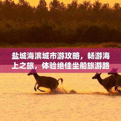 盐城海滨城市游攻略，畅游海上之旅，体验绝佳坐船旅游路线！