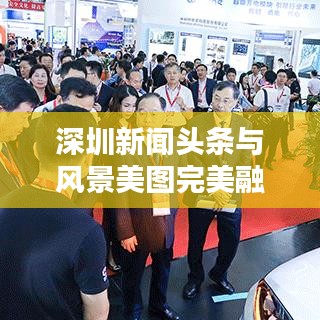 深圳新闻头条与风景美图完美融合，一探今日深圳风采