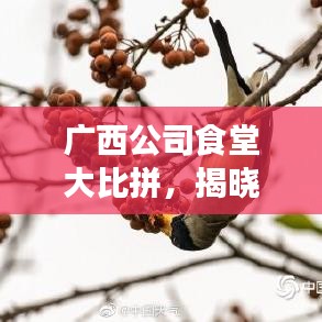 广西公司食堂大比拼，揭晓排名前十食堂榜单！
