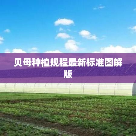 2025年6月1日 第20页