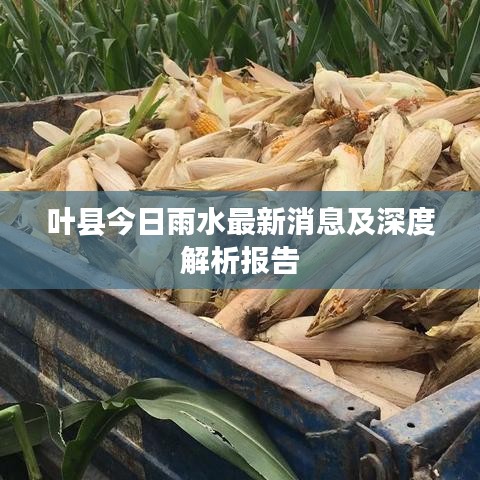 叶县今日雨水最新消息及深度解析报告