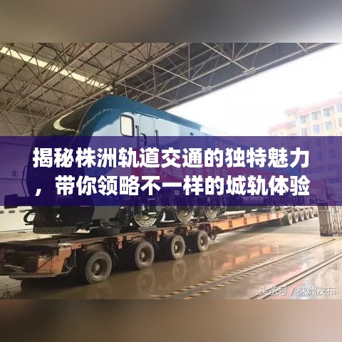 揭秘株洲轨道交通的独特魅力，带你领略不一样的城轨体验