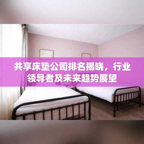共享床垫公司排名揭晓，行业领导者及未来趋势展望