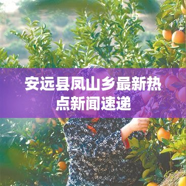 安远县凤山乡最新热点新闻速递
