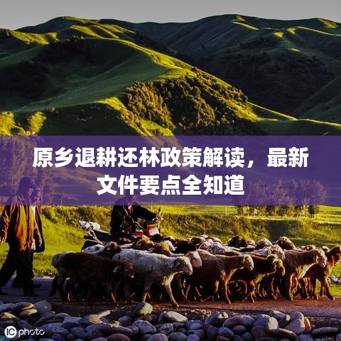 原乡退耕还林政策解读，最新文件要点全知道