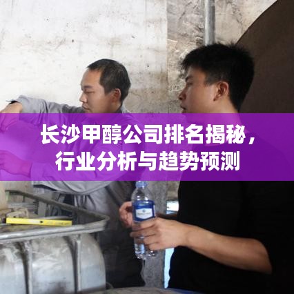 长沙甲醇公司排名揭秘，行业分析与趋势预测
