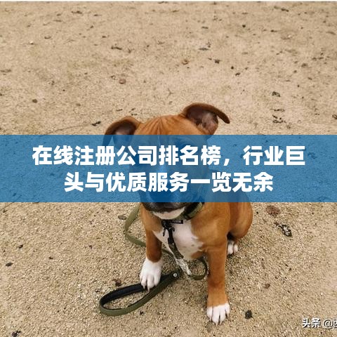 在线注册公司排名榜，行业巨头与优质服务一览无余
