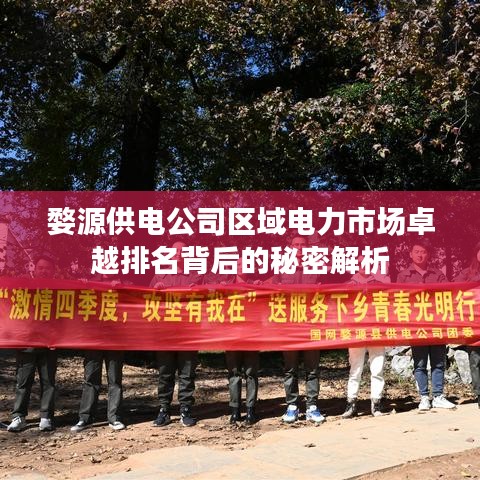 婺源供电公司区域电力市场卓越排名背后的秘密解析